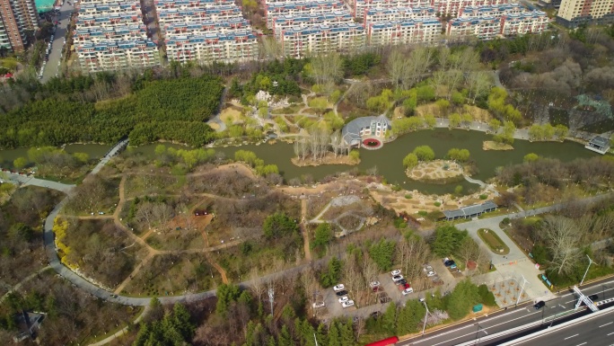 植物园 潍坊植物园 潍坊森林公园