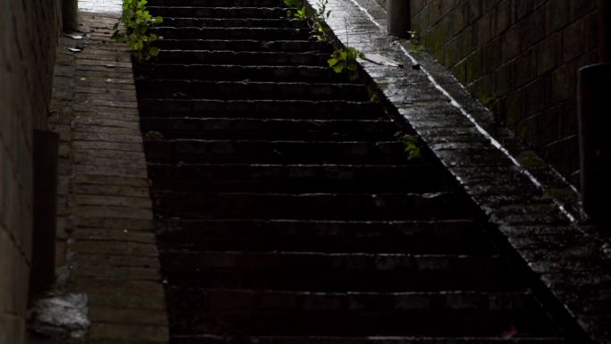 在雨中石板楼梯青苔