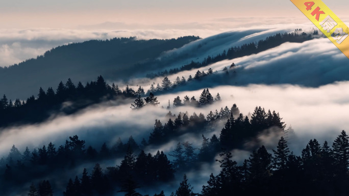 震撼晨雾透过森林云雾翻腾清新自然