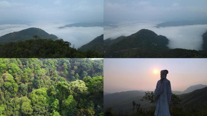 西双版纳热带雨林古六茶山 莽枝、革登