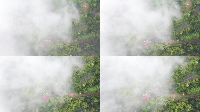 航拍云雾缭绕的重庆北碚缙云山风光