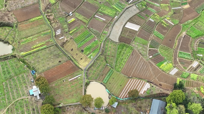 航拍江南浙江诸暨春天七彩田野菜园土地大地