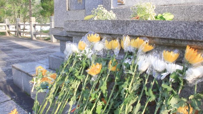 清明节祭奠王尔琢烈士陵园初中生献花菊花