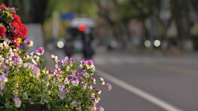 唯美城市道路空镜素材