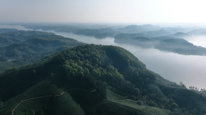 4K云雾中信阳南湾湖茶山自然风光航拍合集