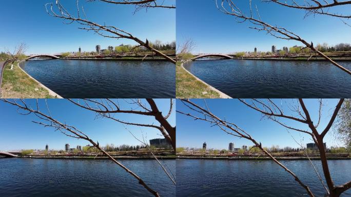 河岸  春天 生机  自然  水系