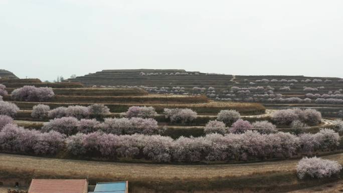 金鸡坪梯田