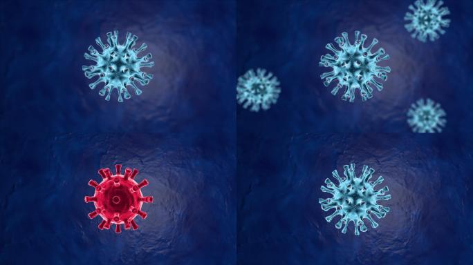 4k有害病毒变异变种演变分裂新型冠状病毒