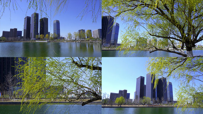 4K城市春天公园春暖花开
