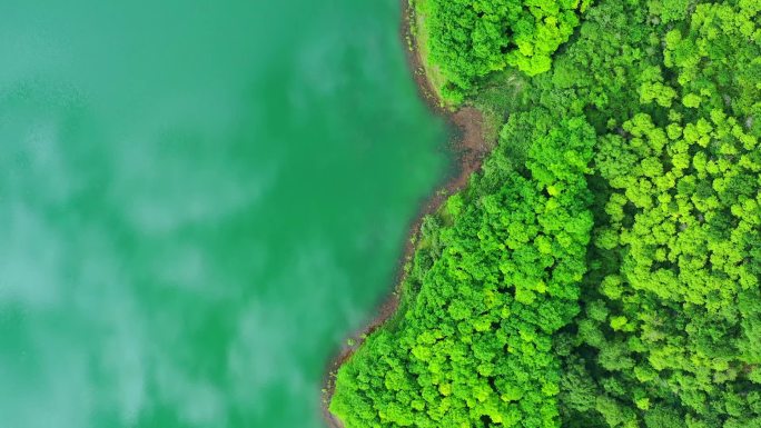 森林、湖水自然风光