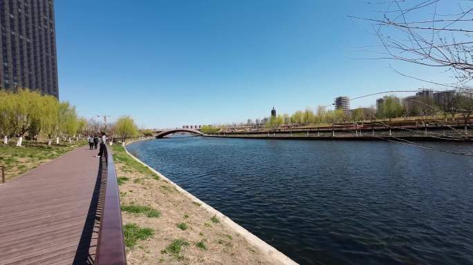 河岸  春天 生机  自然  水系