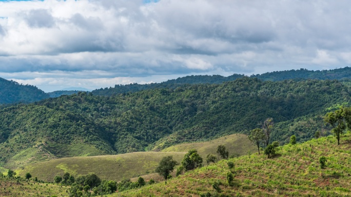 云南茶山山峦地形茶场茶叶延时