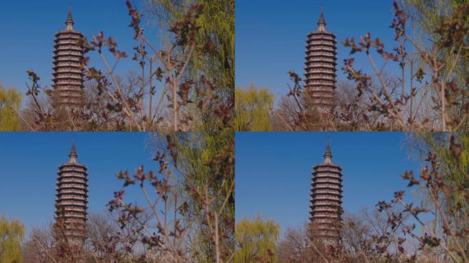 塔 公园  建筑 景观  旅游