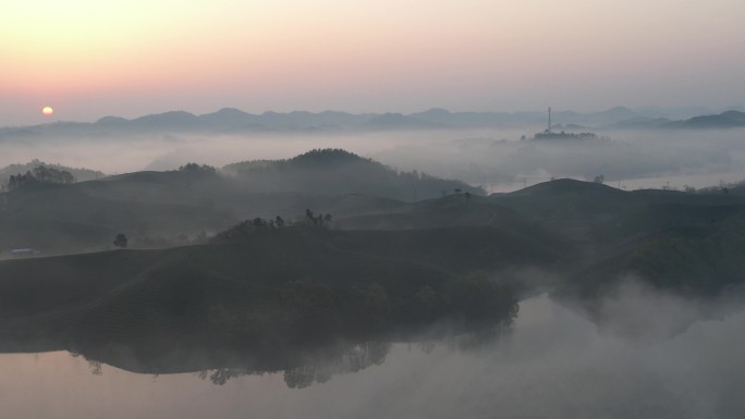 信阳茶山毛尖