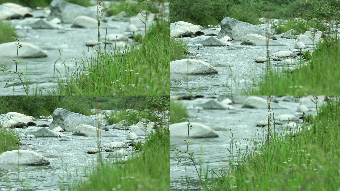 水 河 小溪 青海 门源