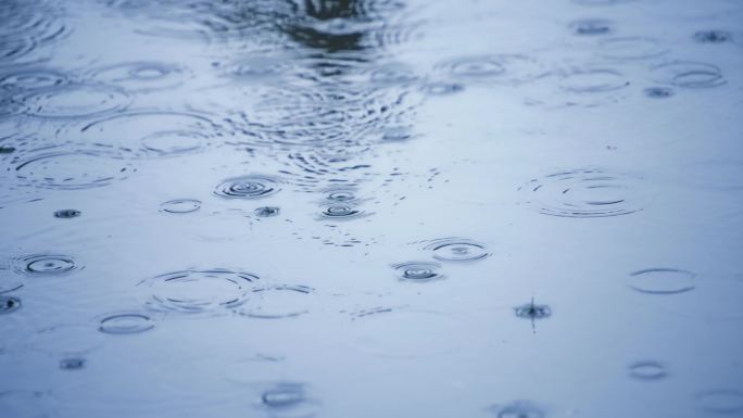 清明时节雨纷纷2