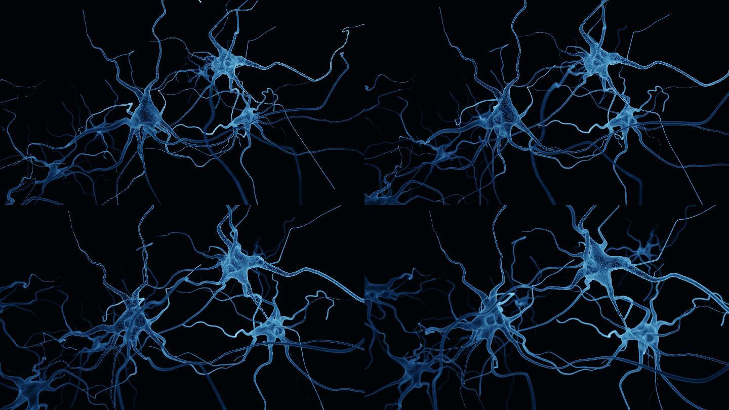 神经元系统全息图脑神经触突光感受器