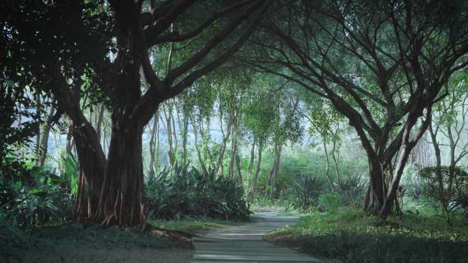 公园步行小道树林散步户外人与自然健康生活