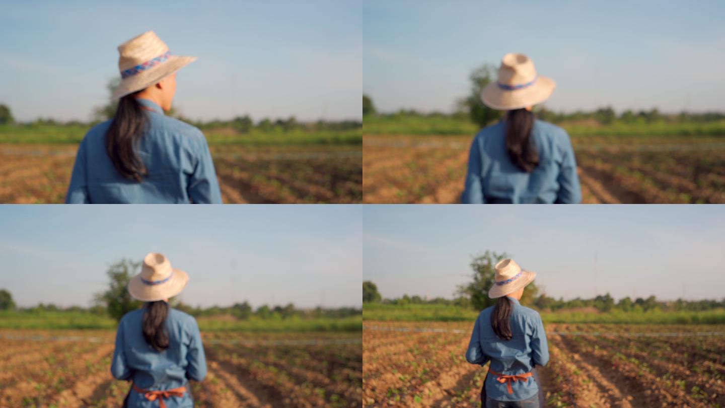 女农民使用平板电脑检查农田中的农作物