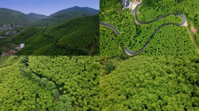 【4K】湖州莫干山竹林航拍 新农村 民宿