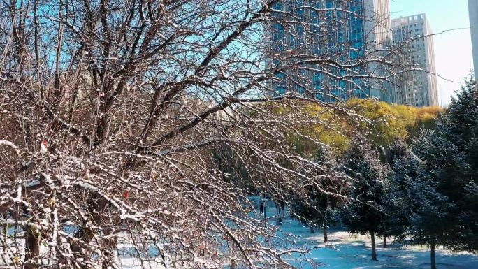 【原创】银河广场雪景航拍