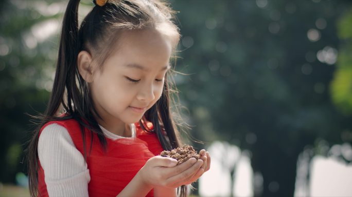 小女孩一抔土种菜 儿童节