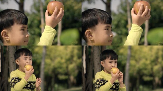小男孩摘苹果吃苹果  儿童节