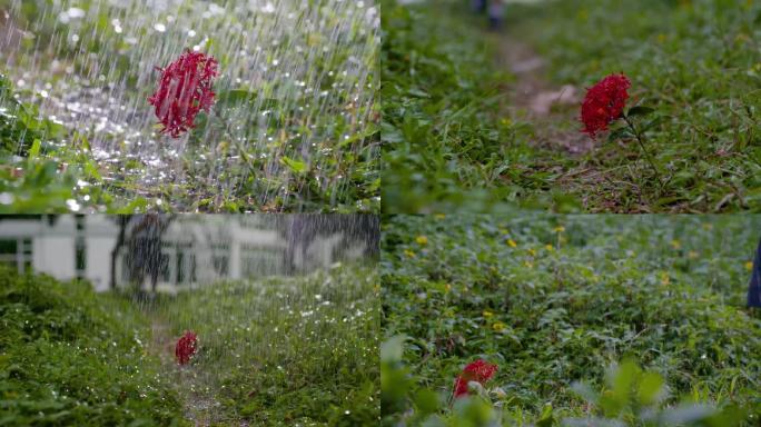 唯美小孩撑雨伞保护雨中鲜花植树节爱护花草