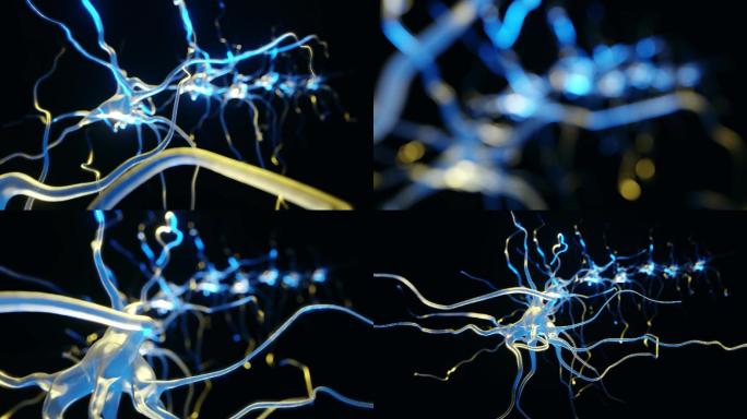 神经元系统全息图特效视频