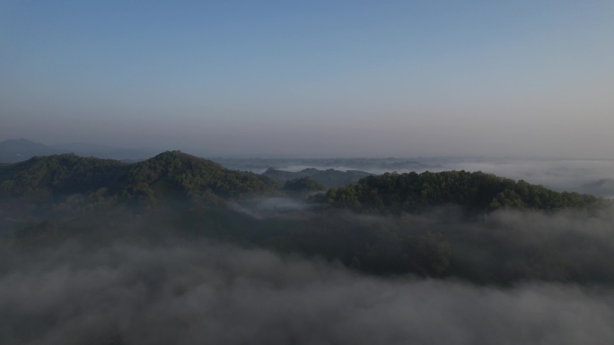 茶山清晨