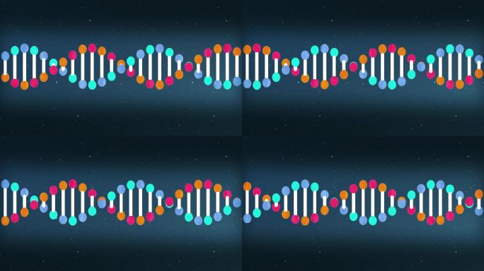 遗传DNA结构动画