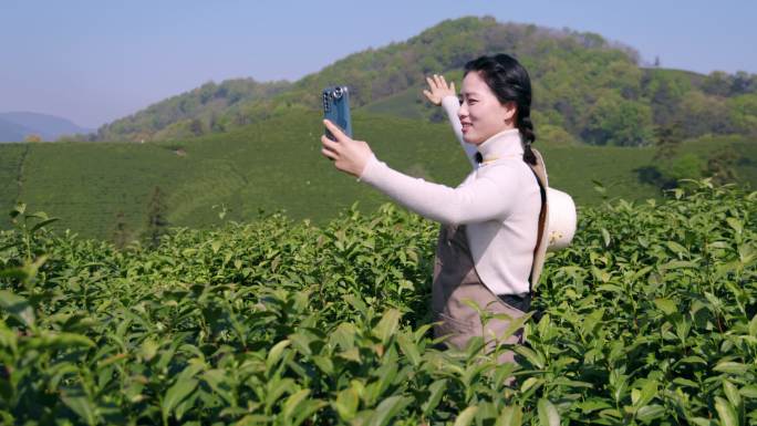 4K一位女性在茶山直播美丽风景
