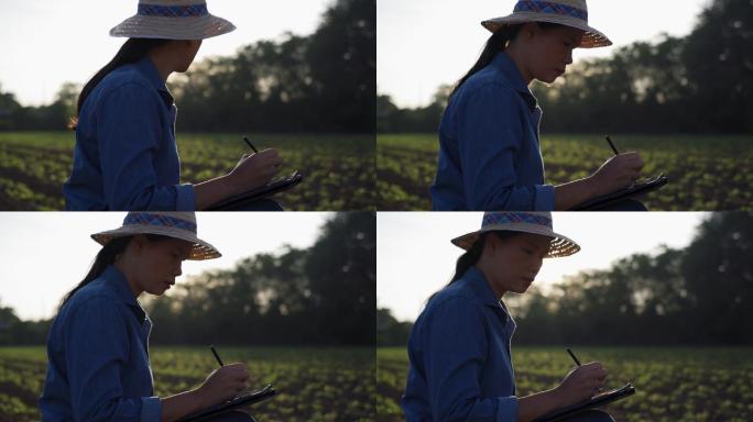 农民使用平板电脑检查农田