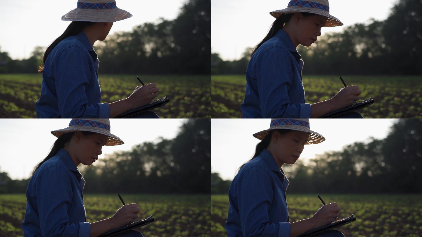 农民使用平板电脑检查农田