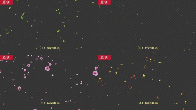 5种4k高清叶子花朵飘落ae模板含素材