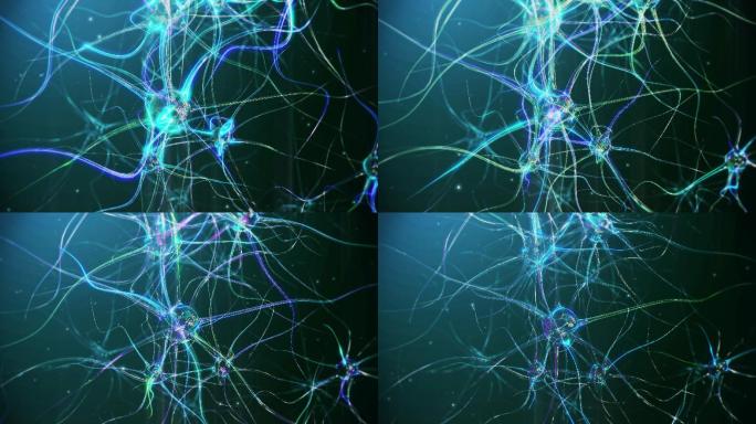 神经元细胞动画基因研究细胞核解剖学
