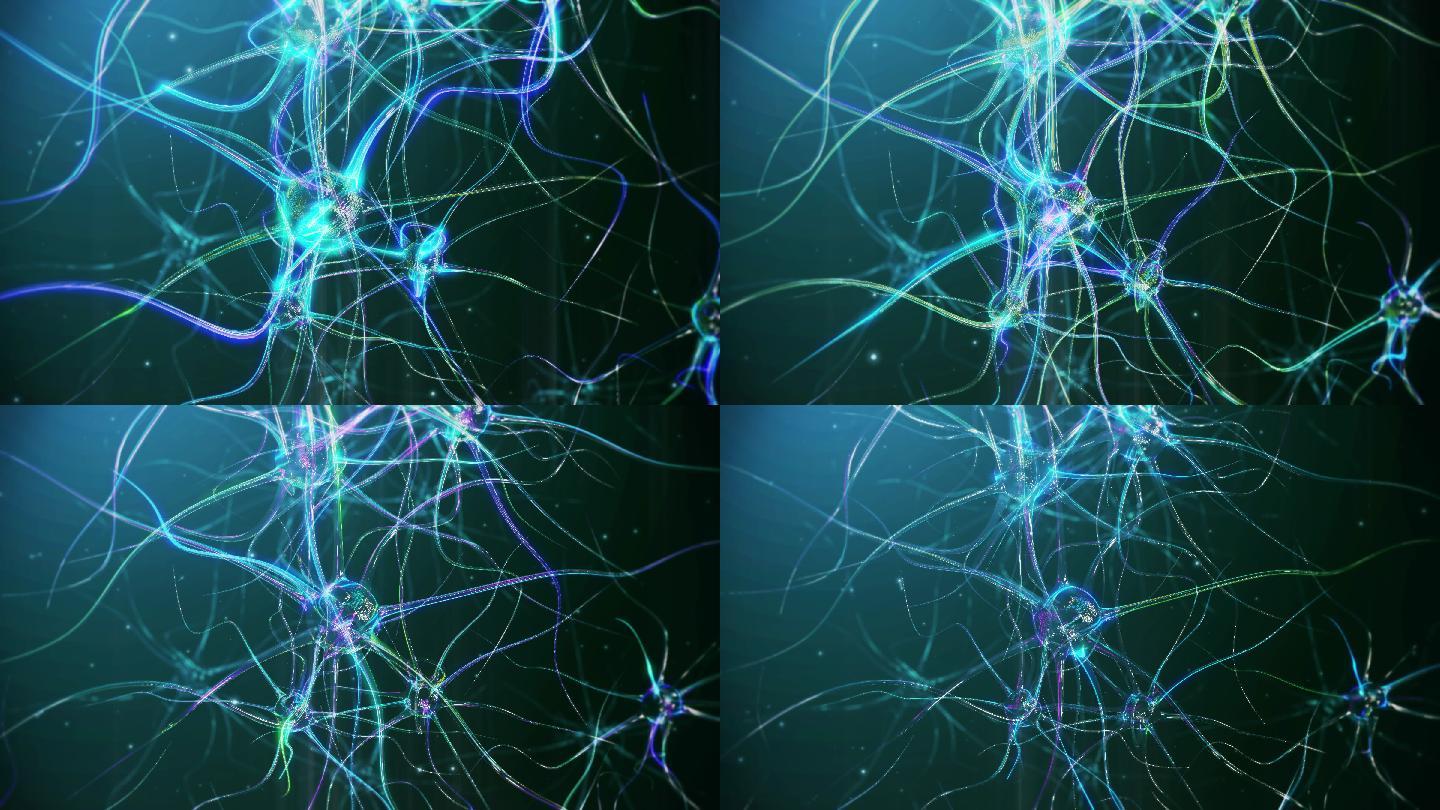 神经元细胞动画基因研究细胞核解剖学