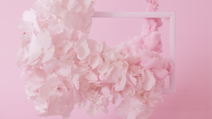 粉色背景上的花朵和粉色烟雾