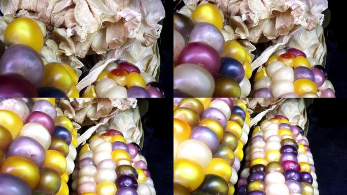 干玉米的特写坚果五谷杂粮营养食物