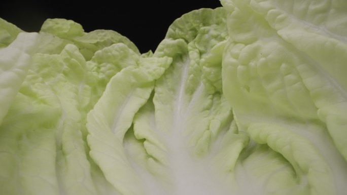 大白菜蔬菜慢动作入水农业食材创意拍摄