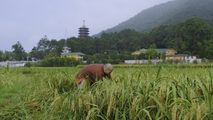 云门寺