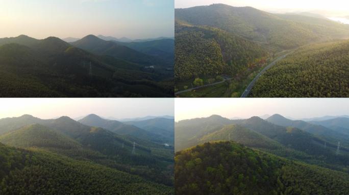 山脉山峰竹林竹子大自然