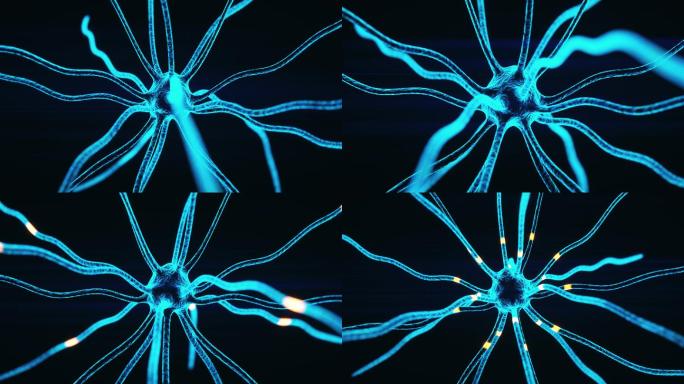 神经元突触全息图特效动画全息素材光感受器