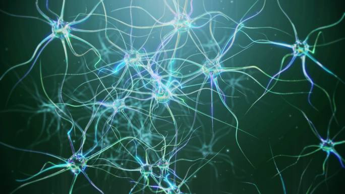 神经元细胞动画