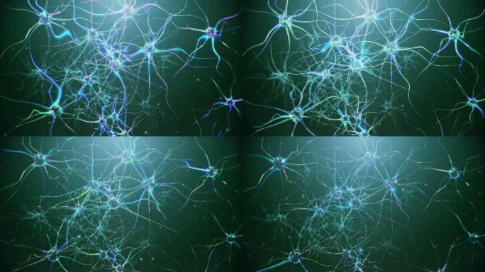 神经元细胞动画