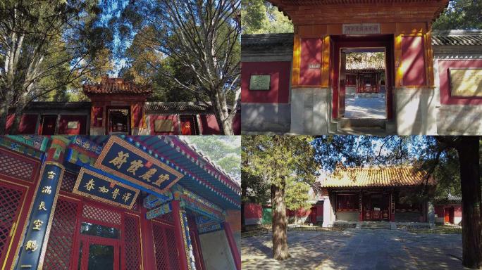 颐和园南湖岛广润灵雨祠