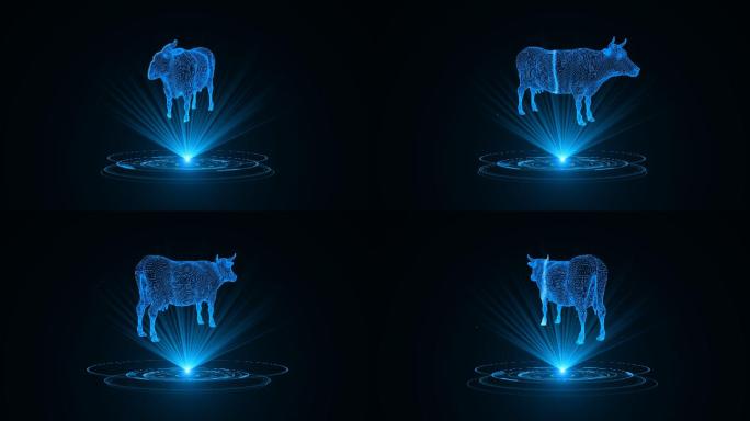 蓝色线框全息科技奶牛动画带通道