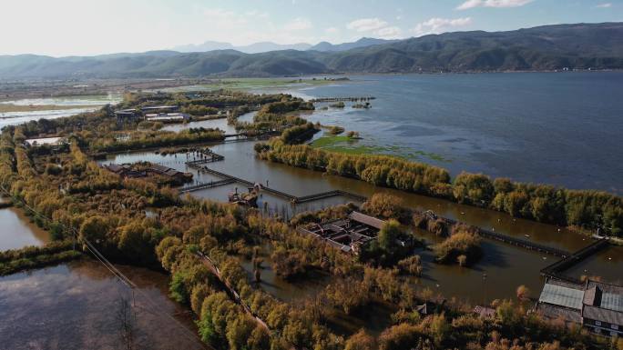 云南丽江拉市海湿地航拍