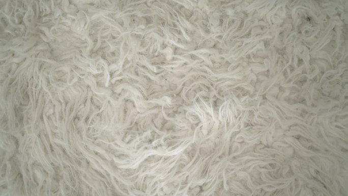 白色地毯毛绒布料保暖材质毛茸茸