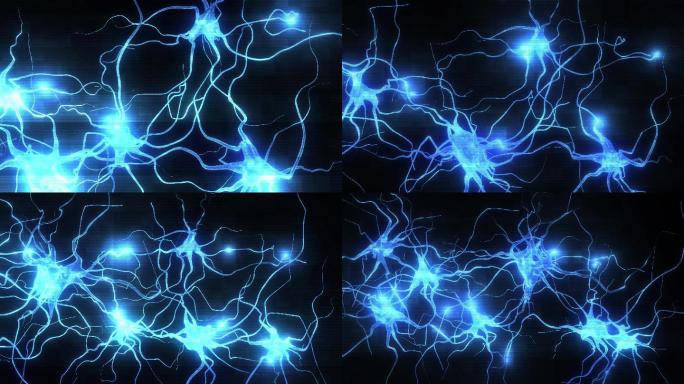 象神经元系统的3d渲染